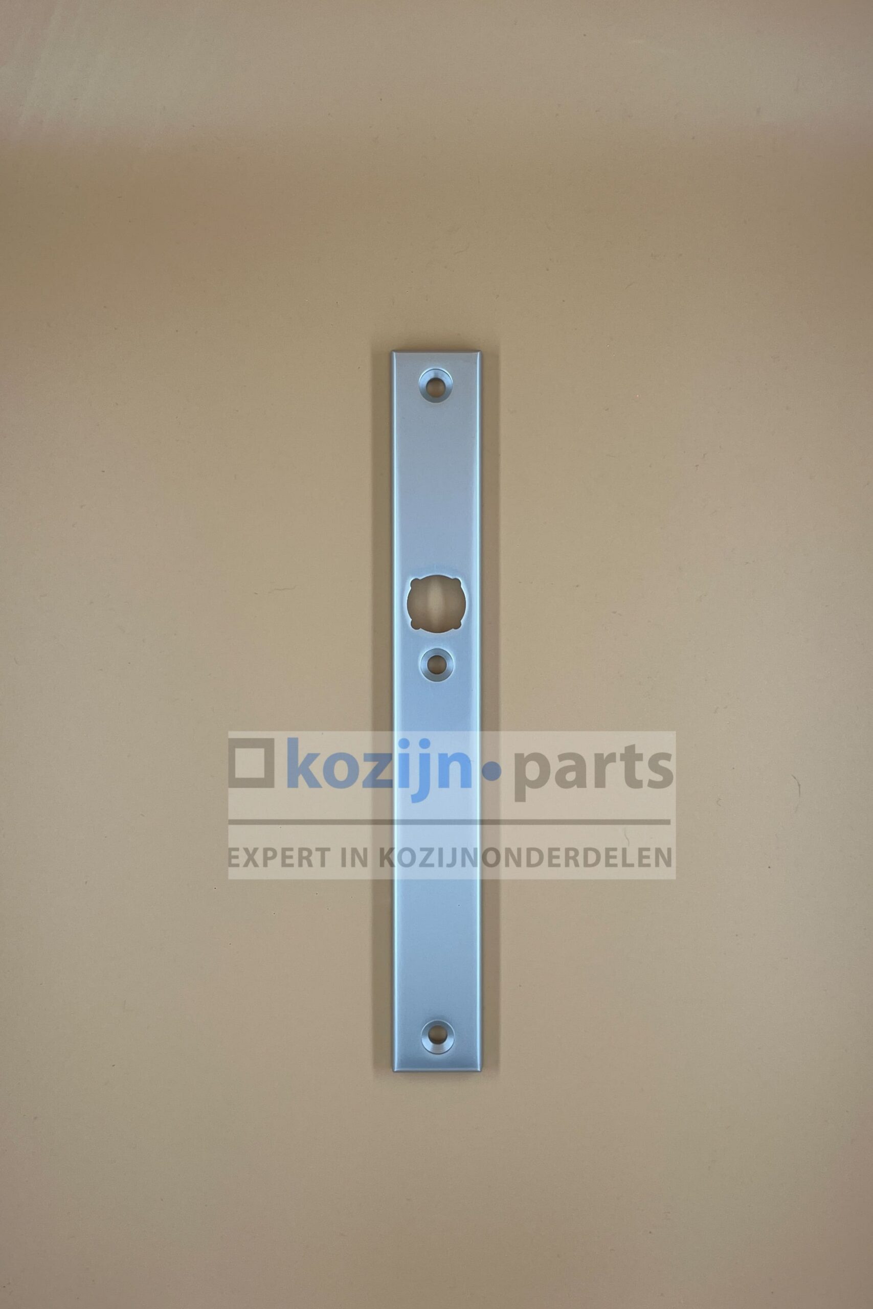 AMI 379 Rota rechthoekig smal binnenschild blind SKG** F1